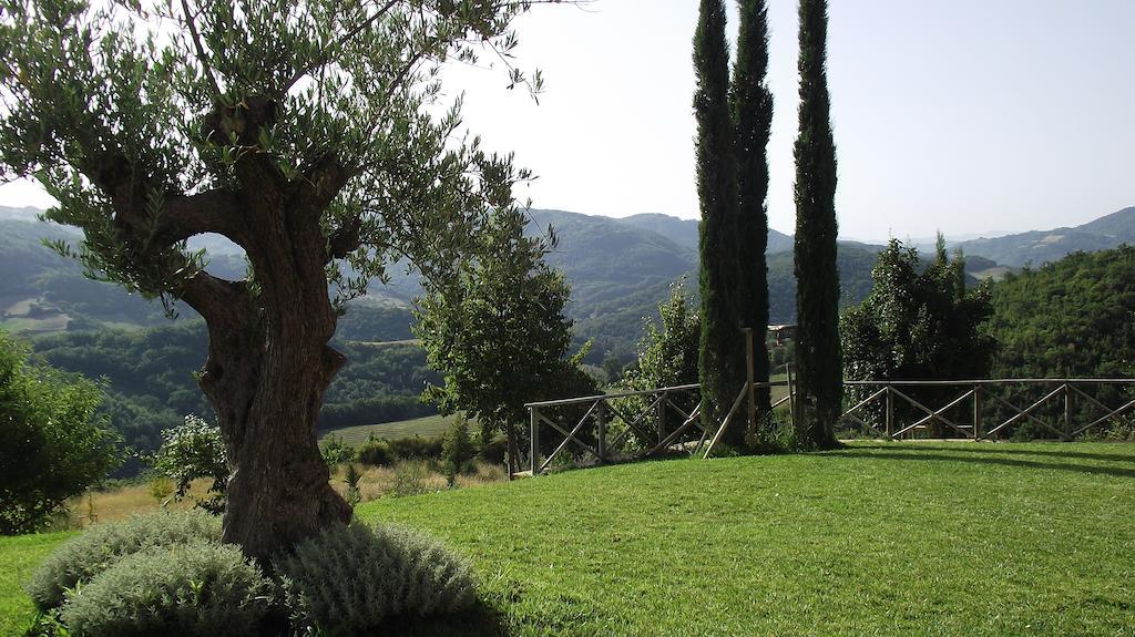 Agriturismo Paradiso 44 Assisi Exterior photo