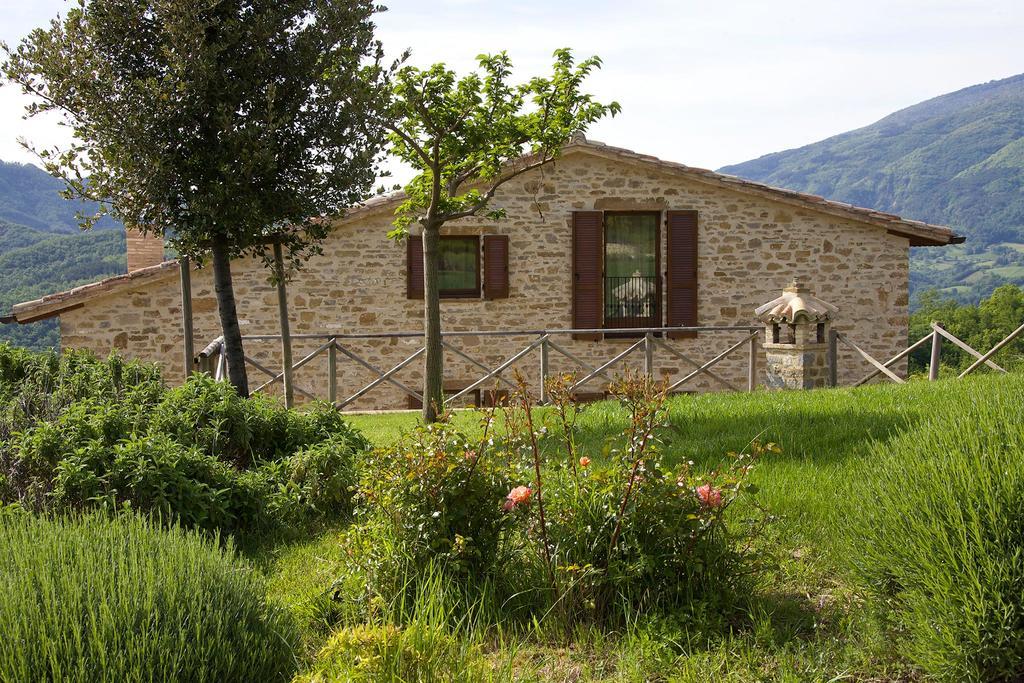 Agriturismo Paradiso 44 Assisi Exterior photo