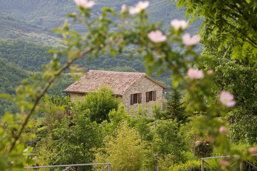 Agriturismo Paradiso 44 Assisi Exterior photo